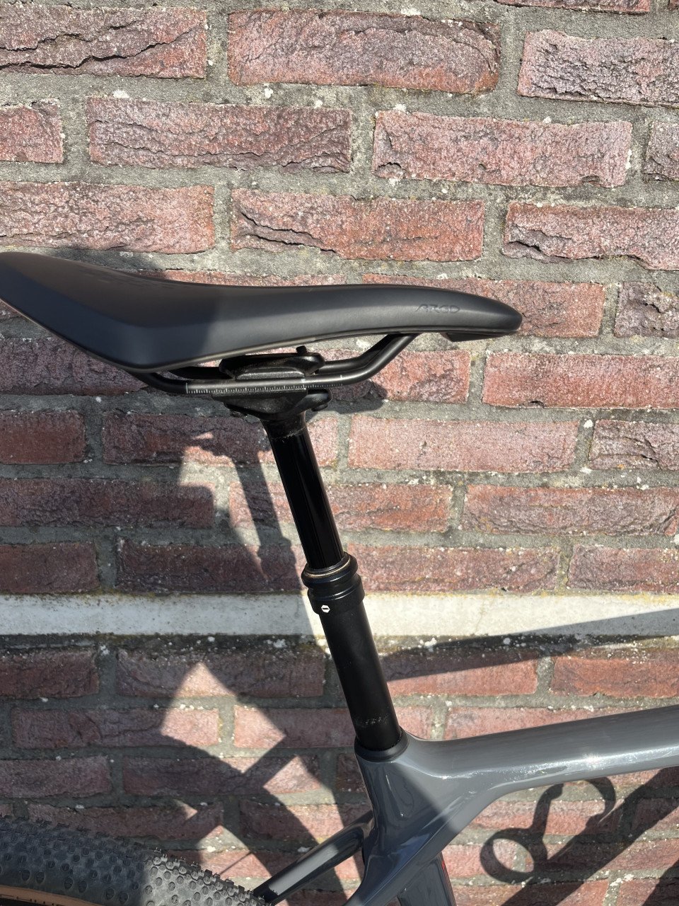 Canyon grizl cf sl 8 1by suspension