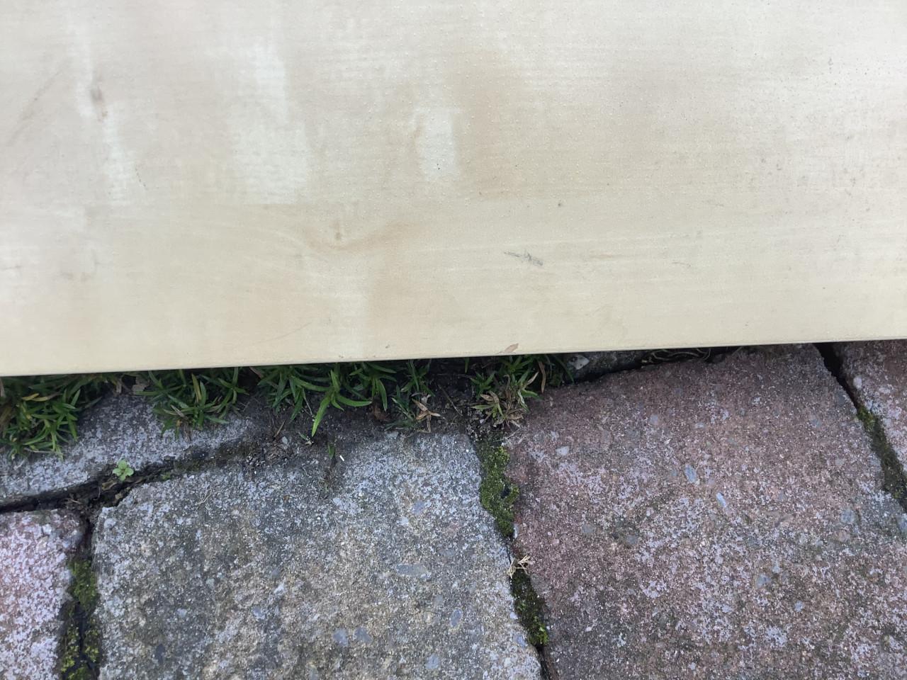 Wandplank