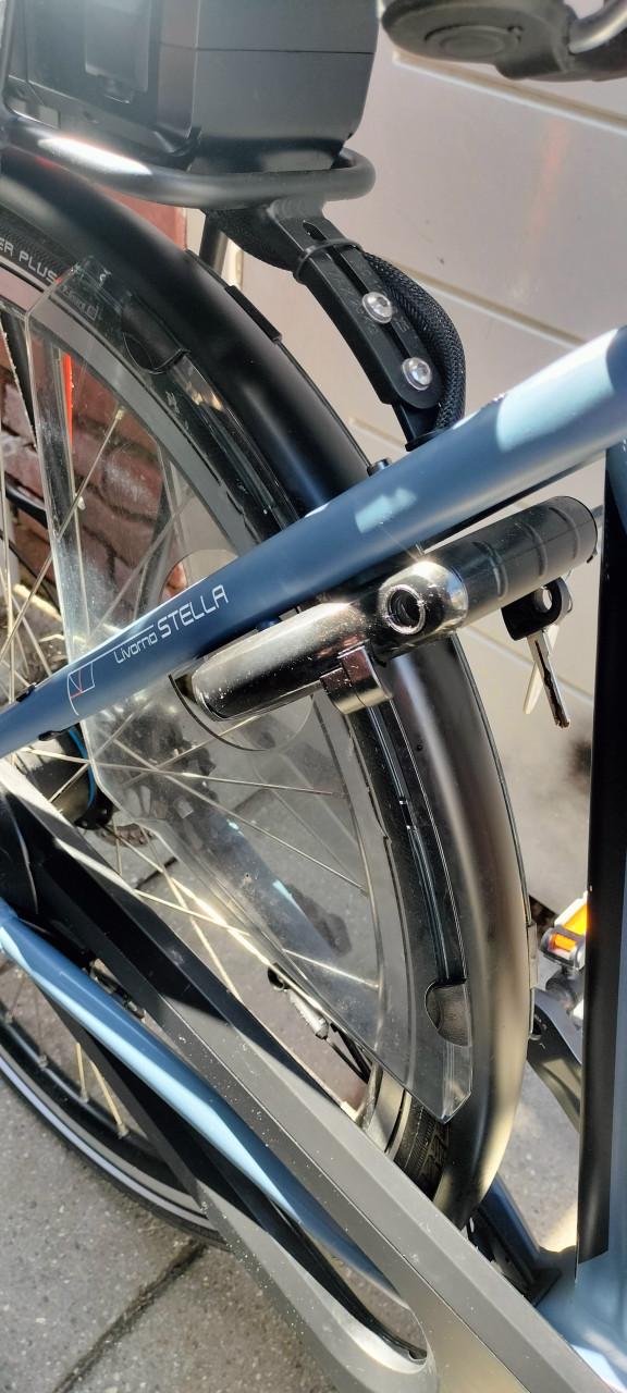 Stella Livorno steps