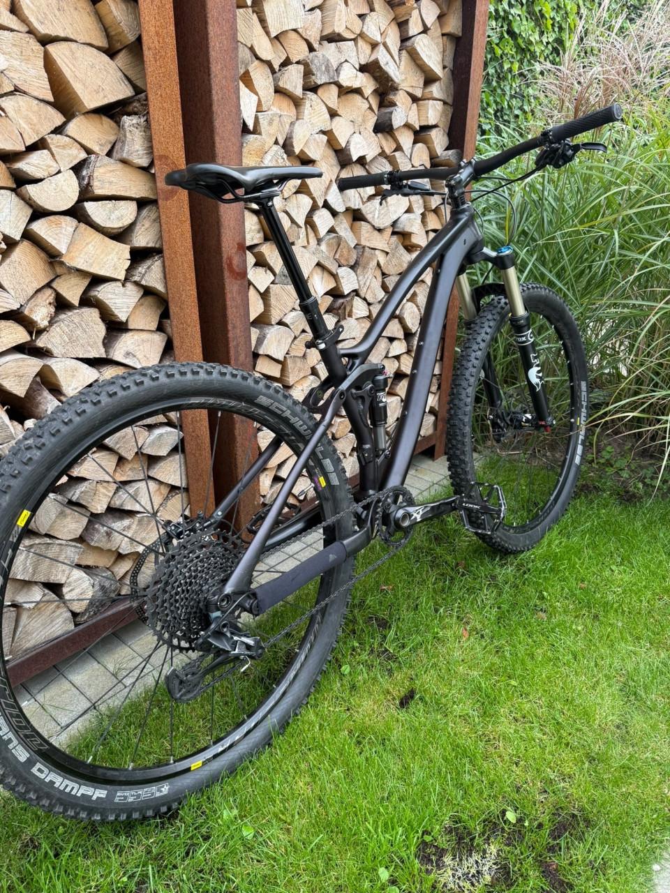 Mountainbike Canyon Nerve full suspension