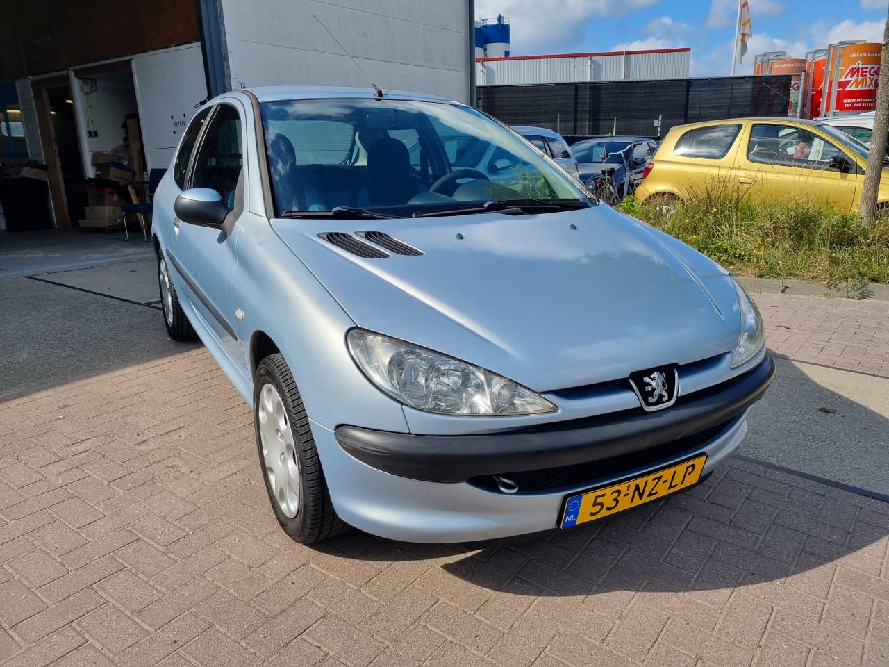 Peugeot 206 1.4 Pop' Art | 155.536 KM!