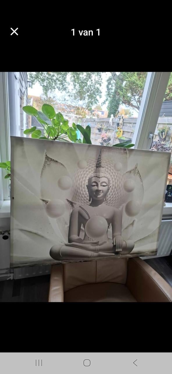 Grote canvas 100 bij 70