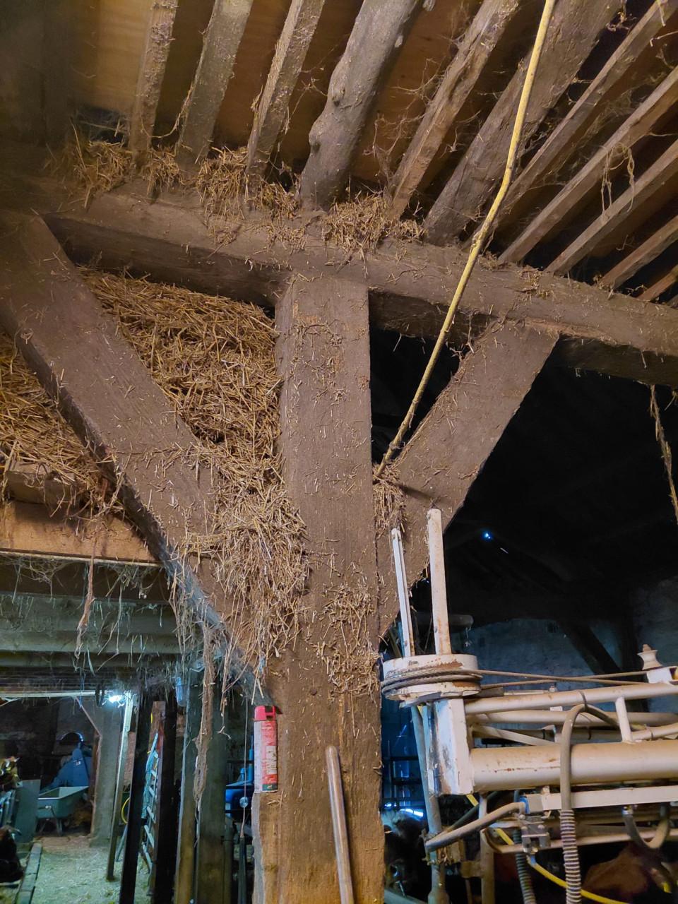 Grenen houten balken