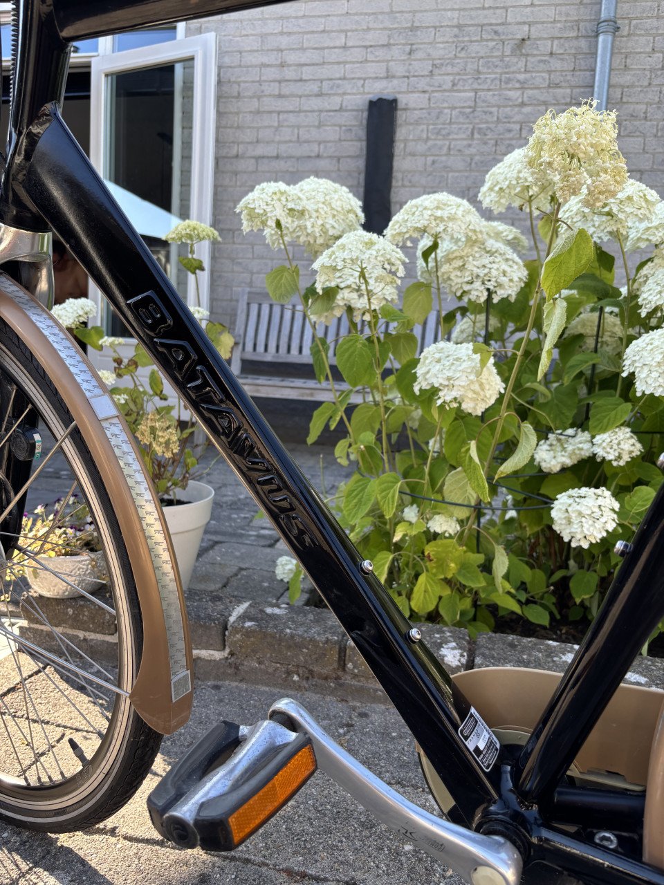 Batavus Cantate herenfiets - Groot frame