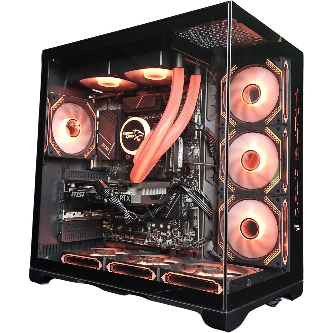 Extrême gamer x