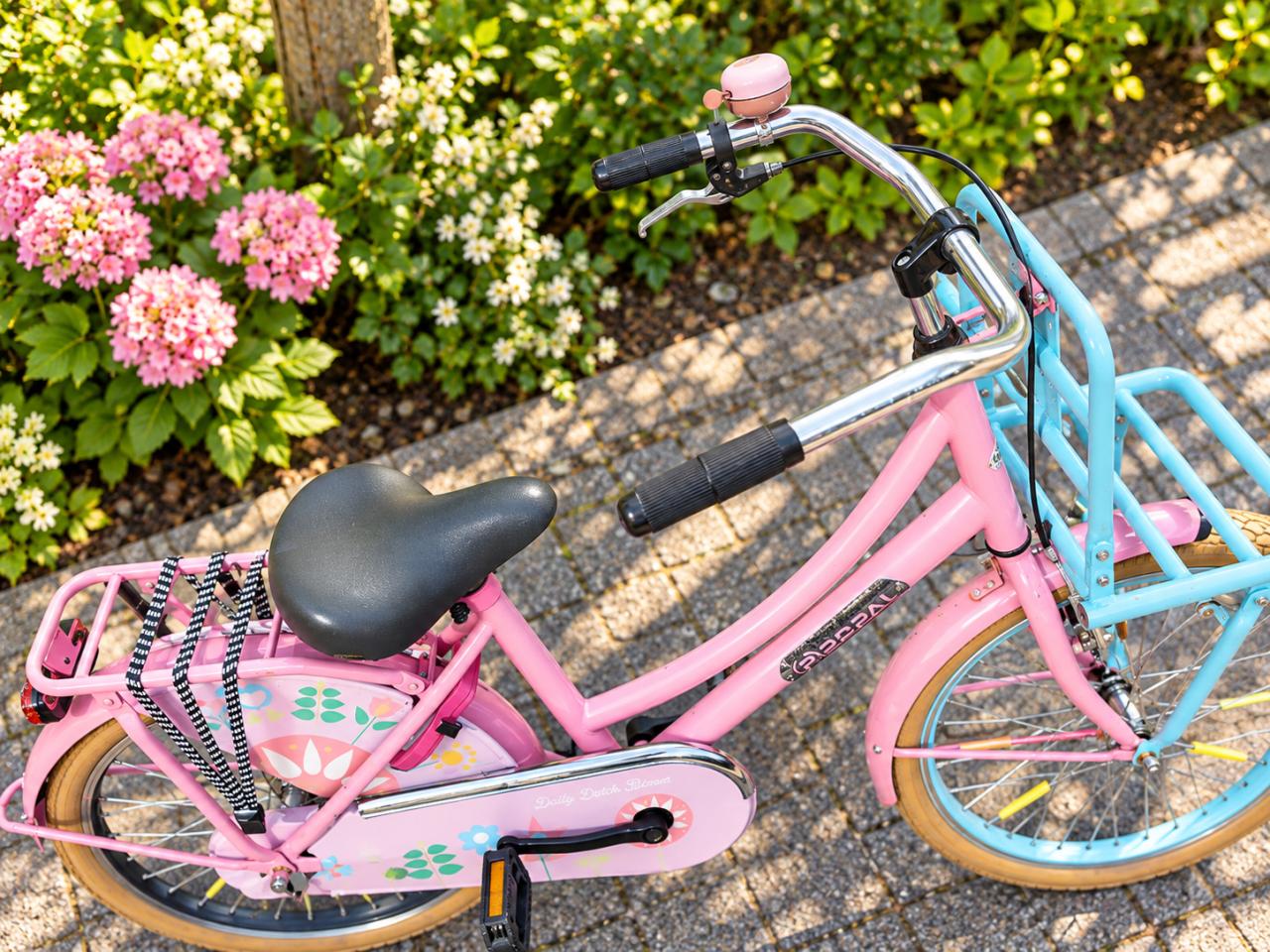 🚲 Popal Daily Dutch Bloom 22 Inch – Transportfiets