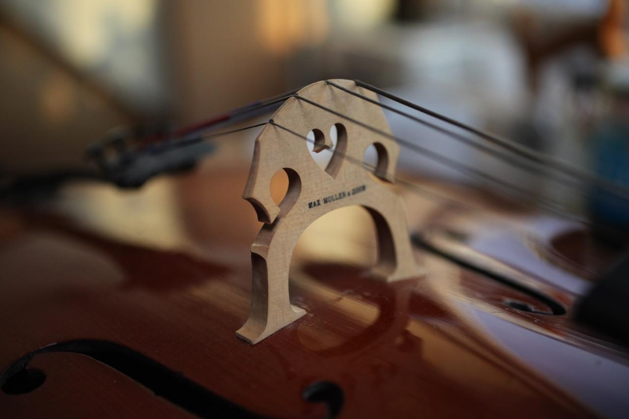 Studie cello uitverkoop 2 x 1/4 en 1 x 1/2