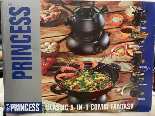 Princess 5 in 1 Combi Sun.