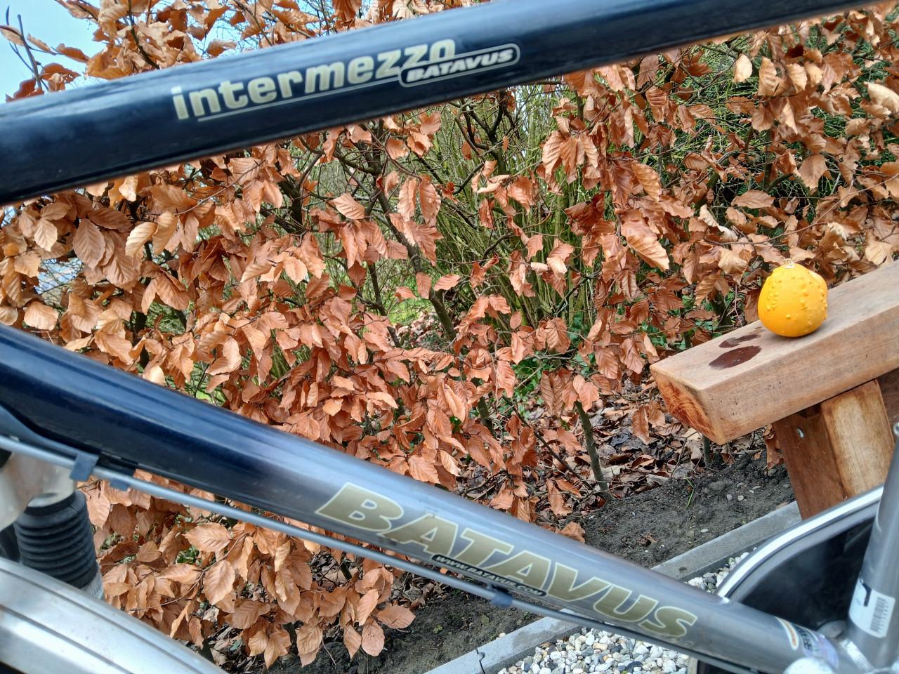 Herenfiets Batavus intermezzo