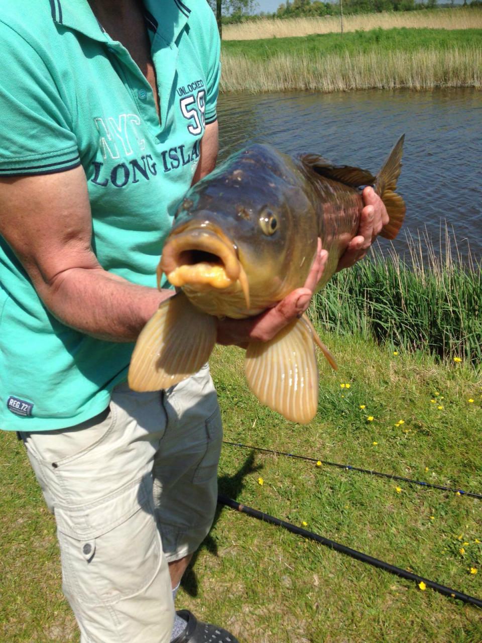 Koop je visvergunning voor het jaar 2026 bij Jos en Jolanda en Saskia 17,50