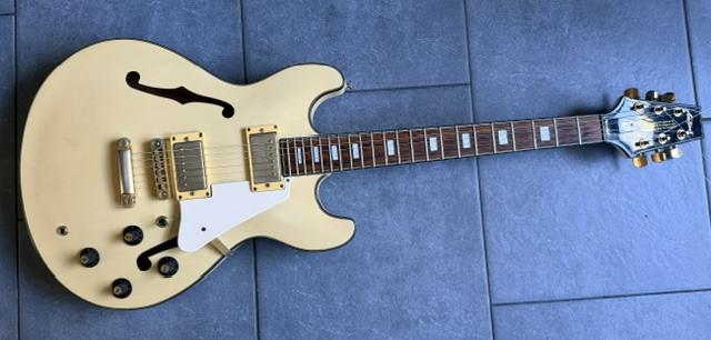 Prachtige Aria Pro II gitaar.