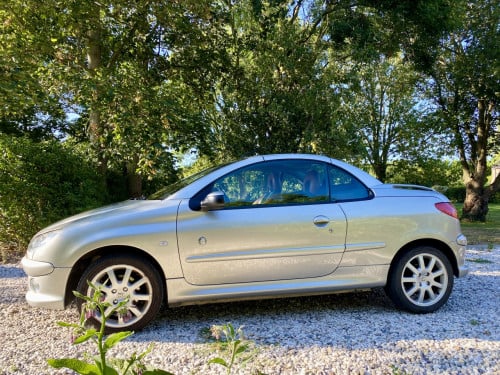 Leuke Peugeot 206 cc Roland G. | NW APK