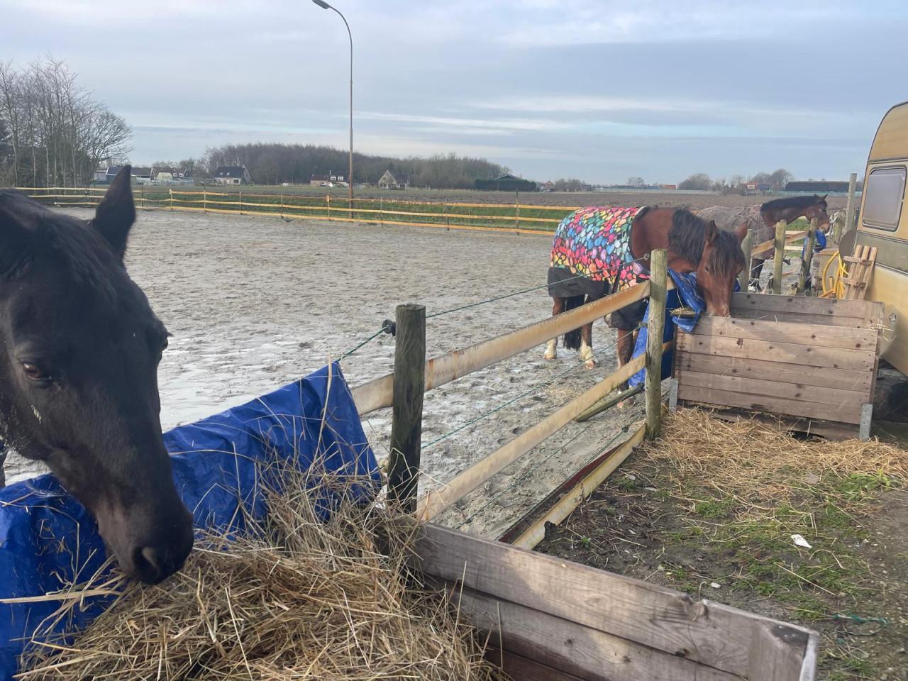 Laatste box te huur aan de Lageweg 14 in Wolphaartsdijk