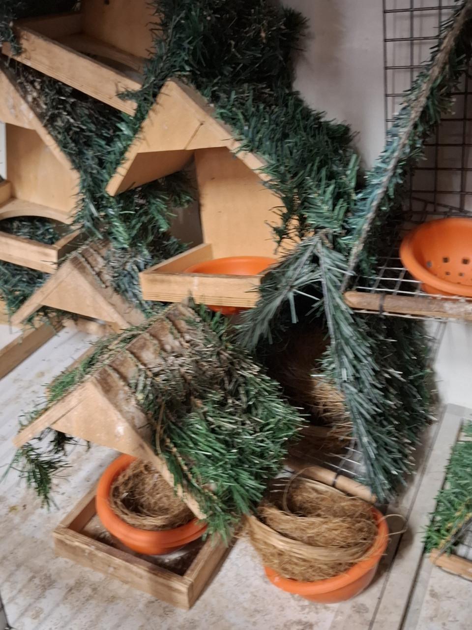 Gebruikte nestkasten voor tropen/wildzang