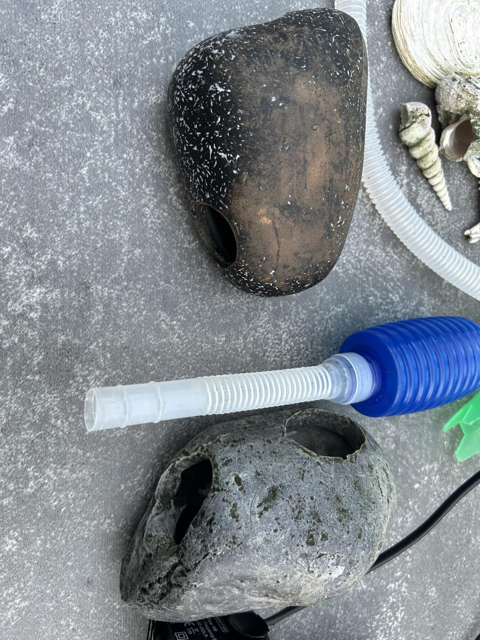 Aquarium met toebehoren