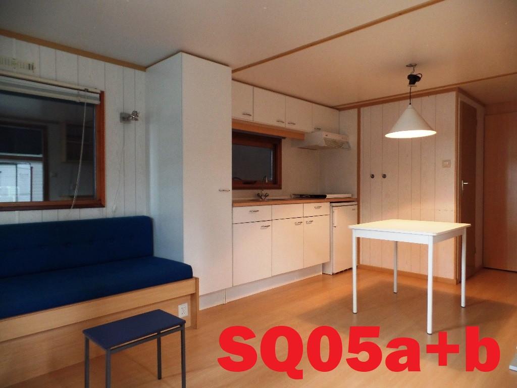 Compact Vroegop L-chalet met 1 slaapkamer te koop