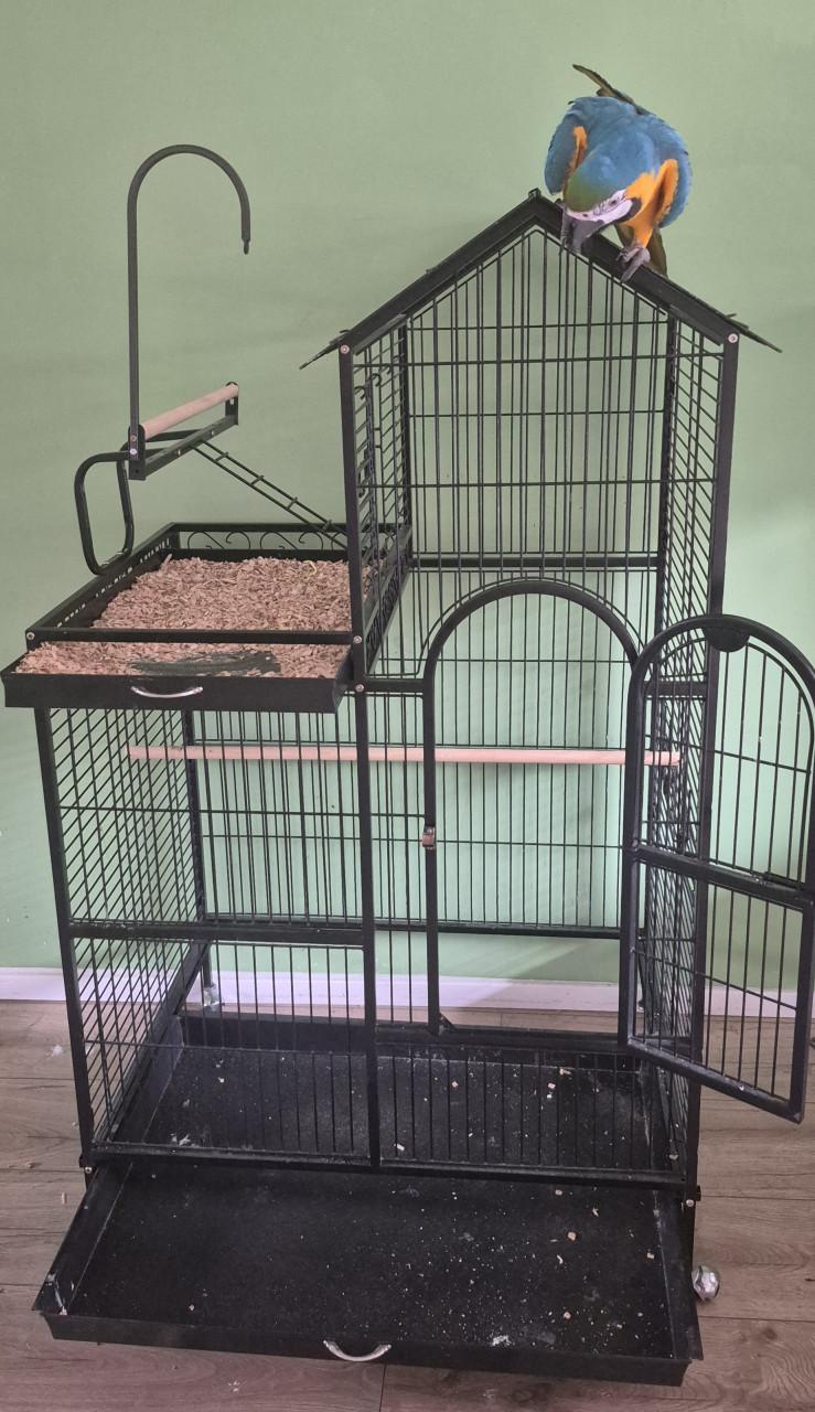 Vogel/papegaaien villa izgst