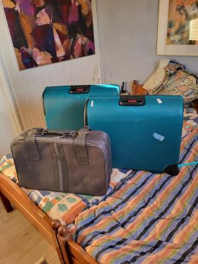Koffers ( 3 stuks)