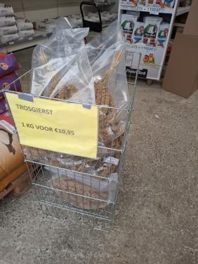 Trosgierst, 1 kg voor €10,95