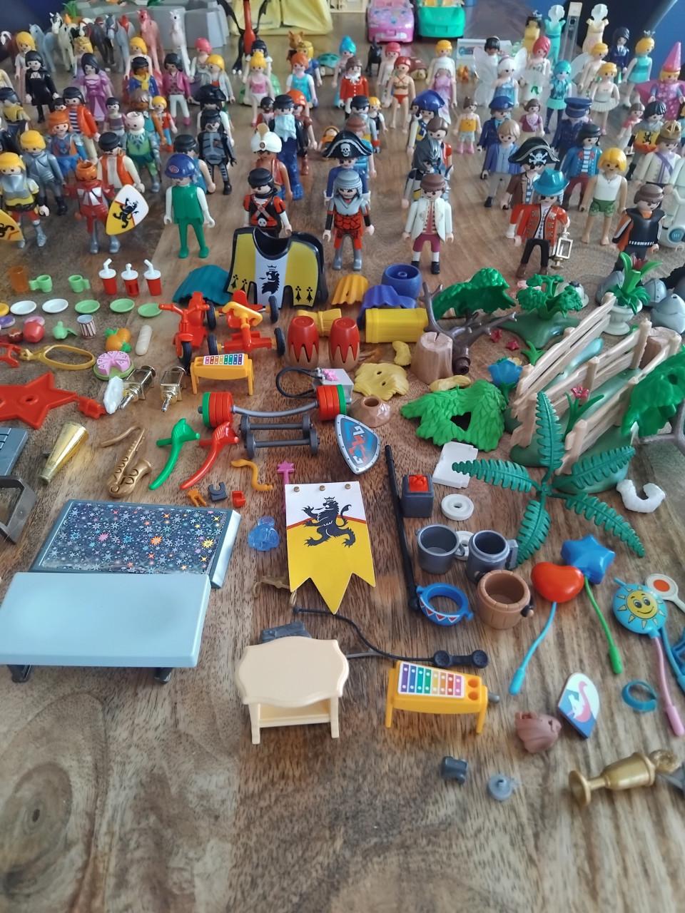 Partij Playmobil / Verzameling Playmobil
