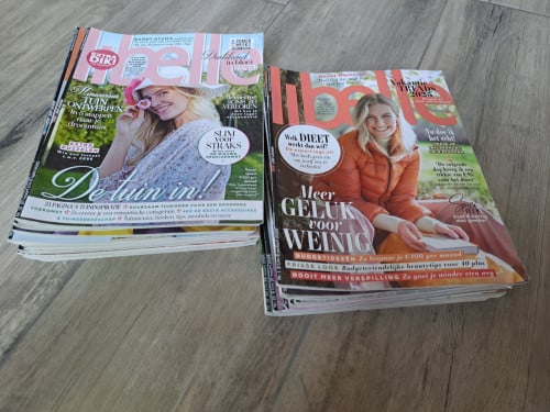 24x Libelle