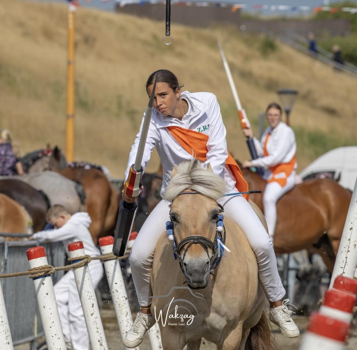 Pony aangeboden voor winterstalling