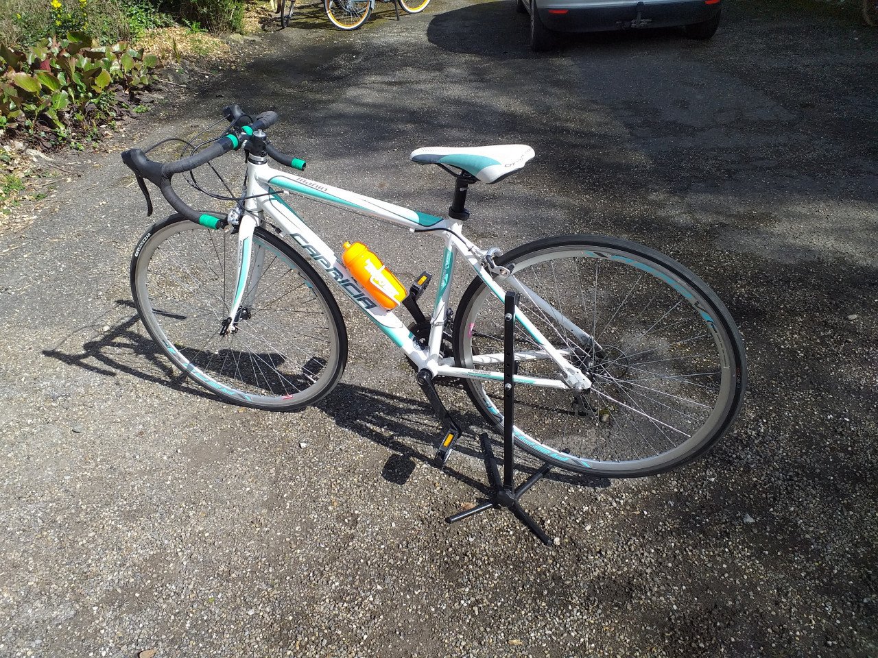 """JEUGDRACEFIETS CAPRICIA MAHIN""
