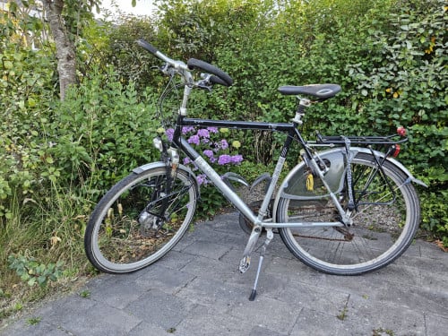 Herenfiets RIH Z-900