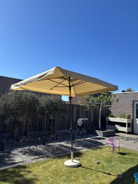 Parasol
