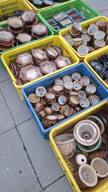 Bonsai potjes