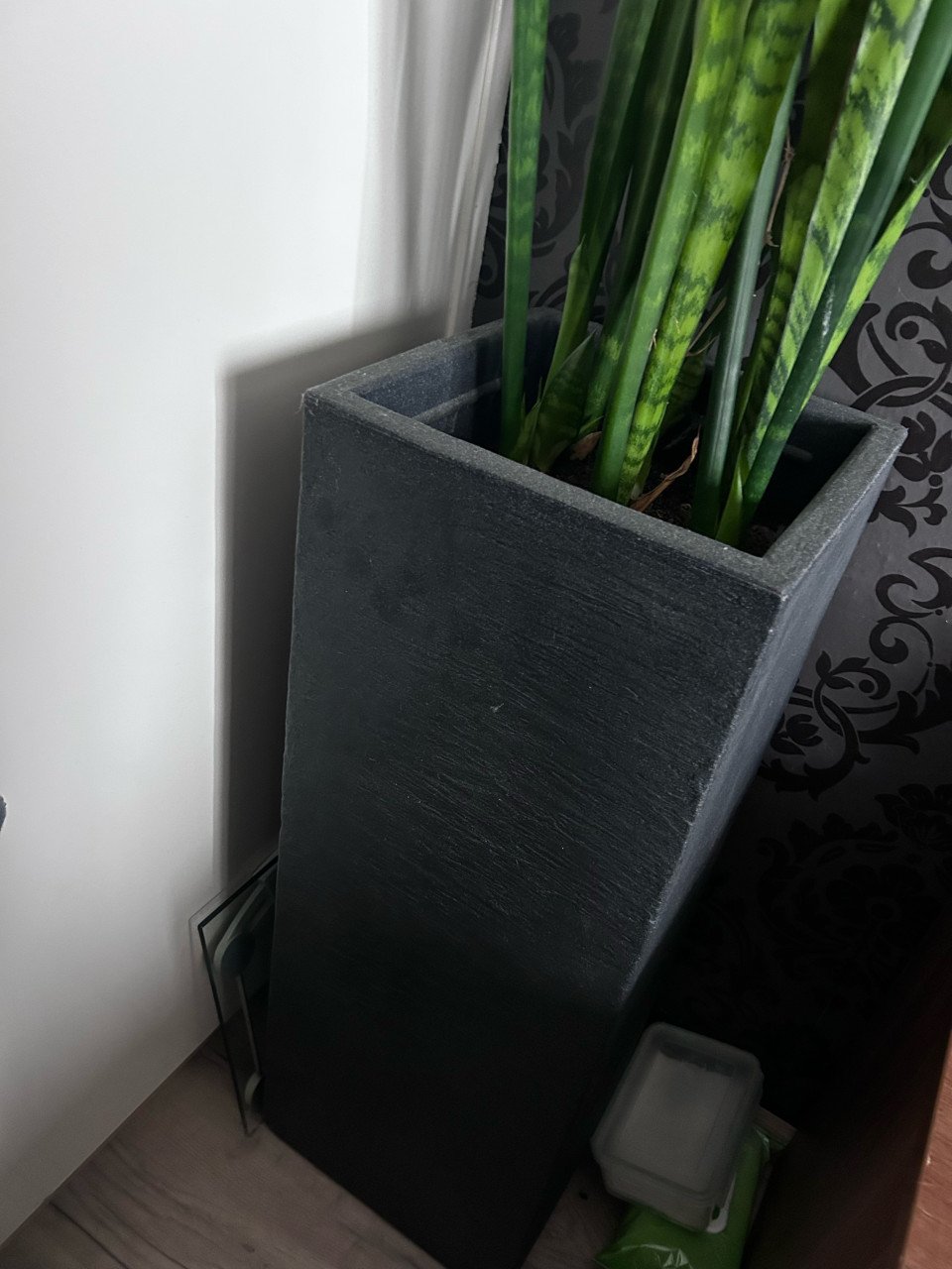 Planten
