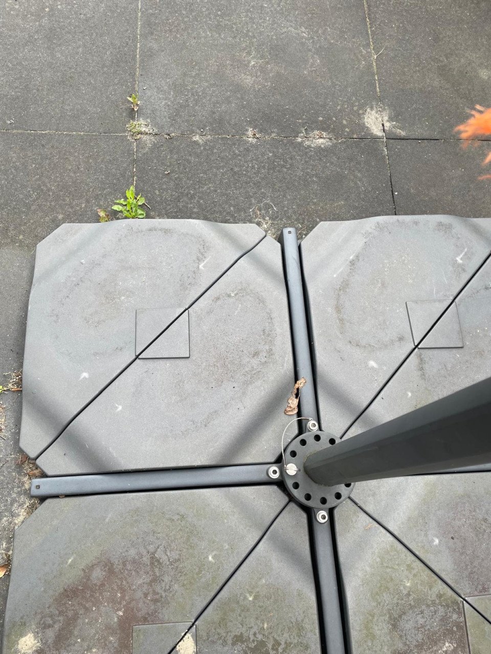 Parasol