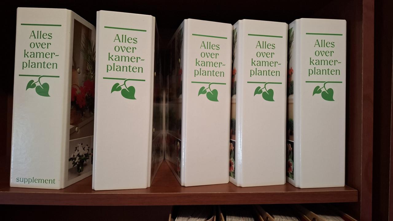 Alles over kamerplanten en bloemen