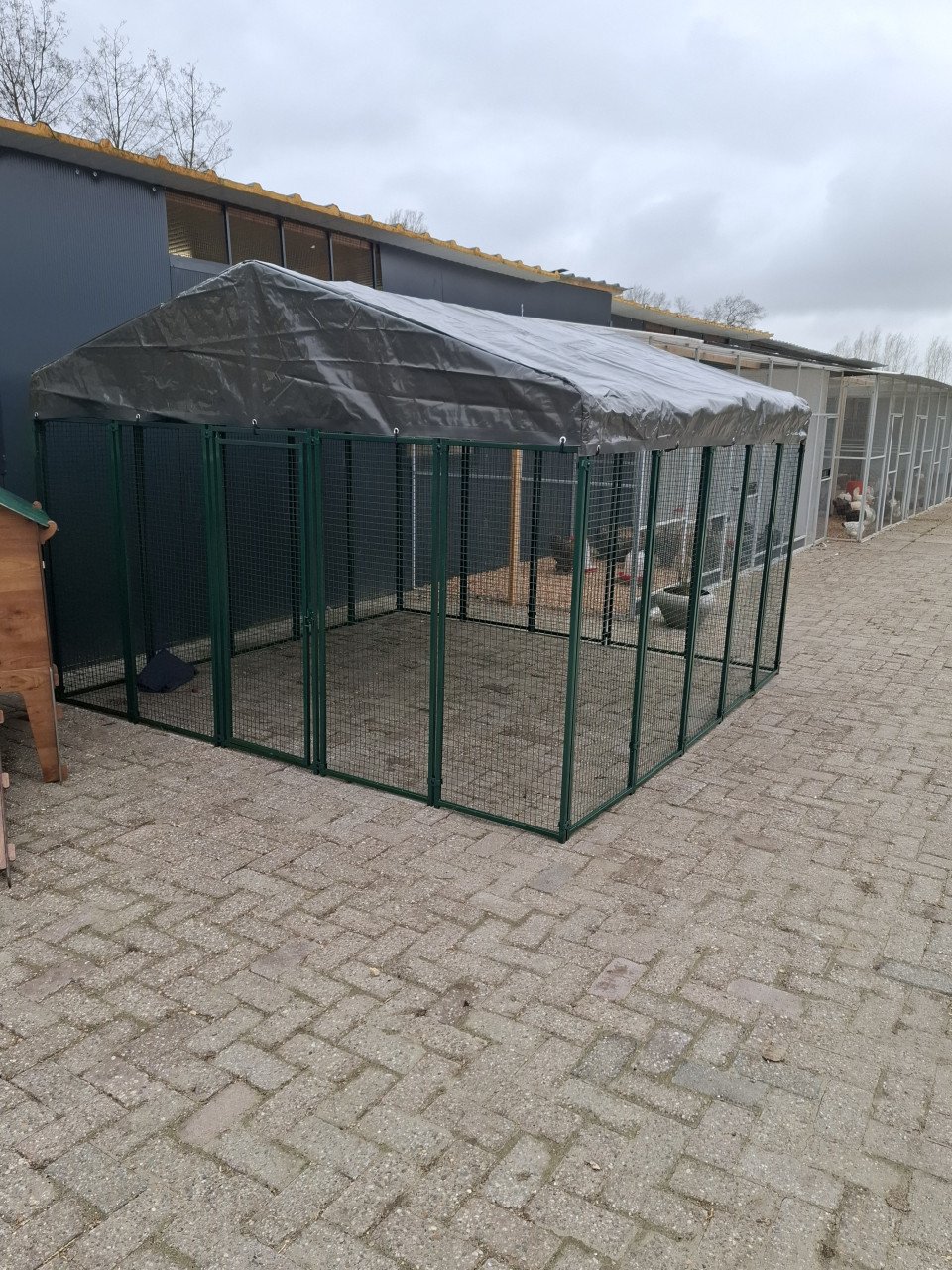 Kippenren - Cucciolotta 3x3 meter