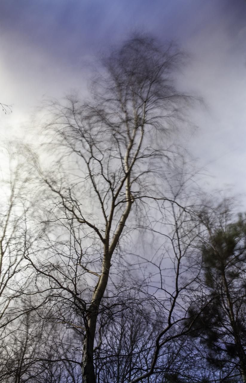 Lezing: fotograferen buiten de lijntjes