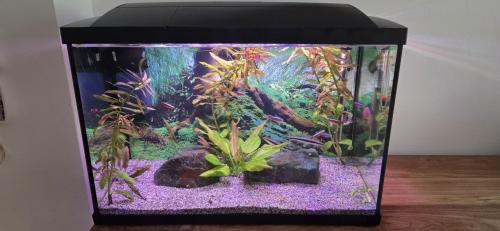 Compleet aquarium