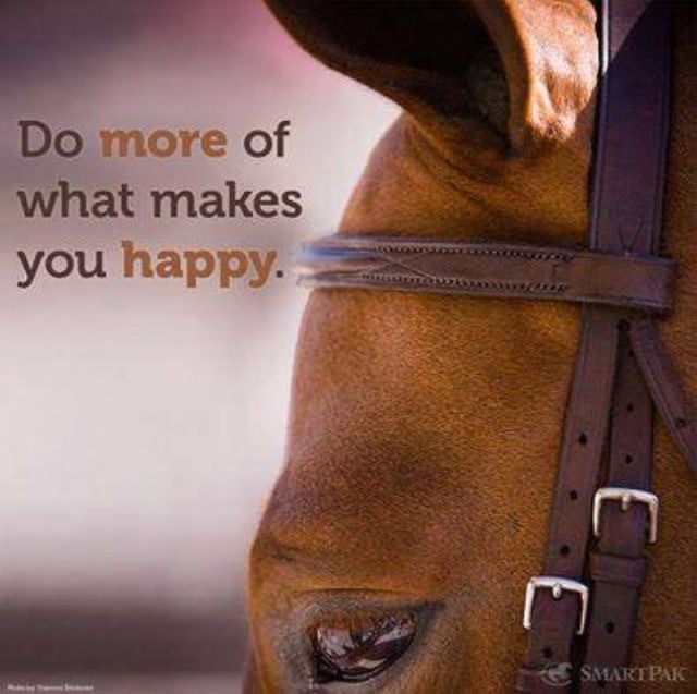 #Equi Pride# waardevolle training, ontspanning met je paard.