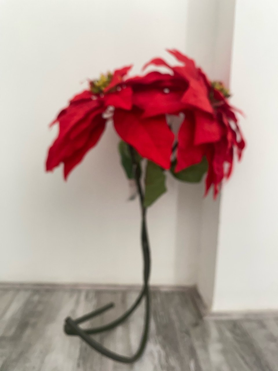 2 rode bloemen