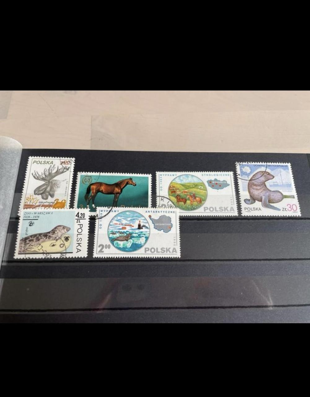 Bijzondere postzegel verzameling dieren internationaal