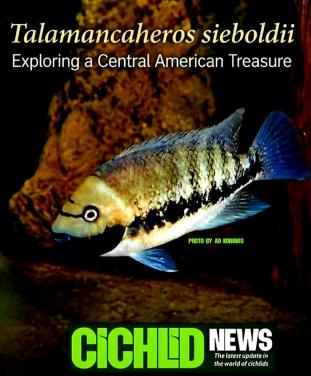 Aquariumvissen hollenbroeders