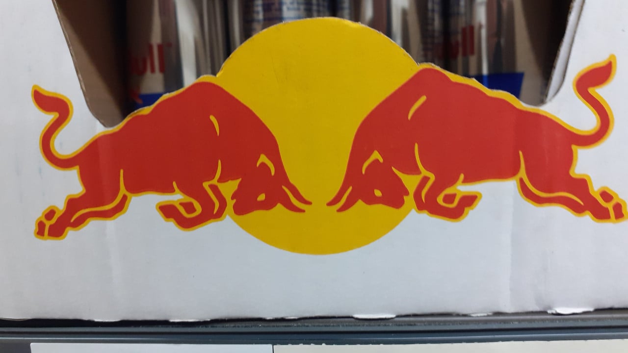 Mountainbike TREK & BULLS XL / XXL & UNO