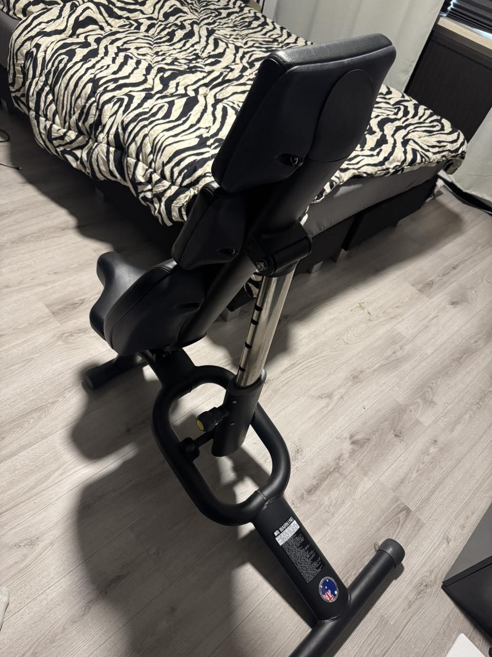 Professionele Fitness bank