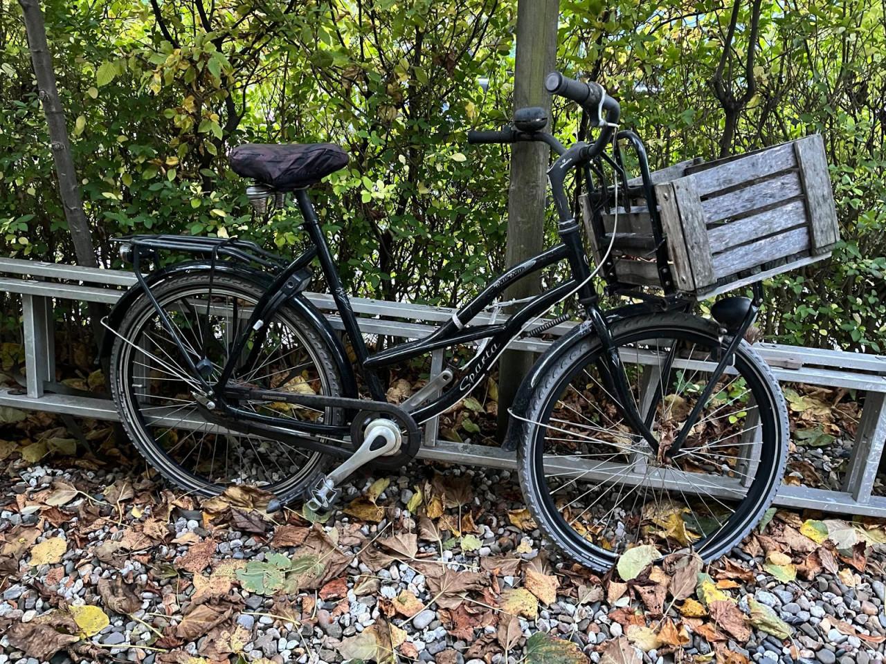 Sparta Bulk Bullet damesfiets met transportkist