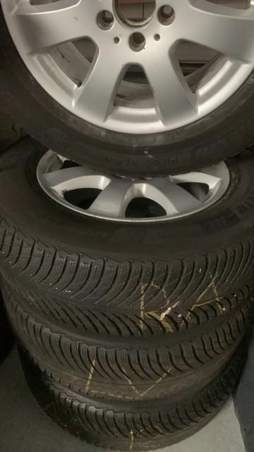 Wintervelgen met Banden