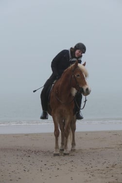 Verzorg pony gezocht