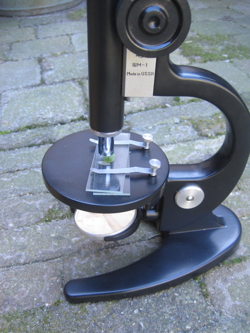 Microscoop in kist