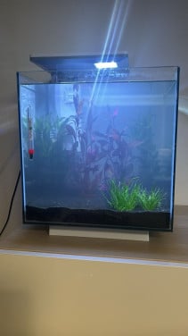 Superfish QubiQ 30 pro