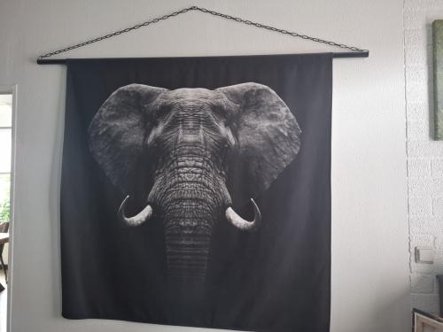 Wandkleed olifant