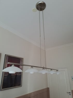 RVS hanglamp