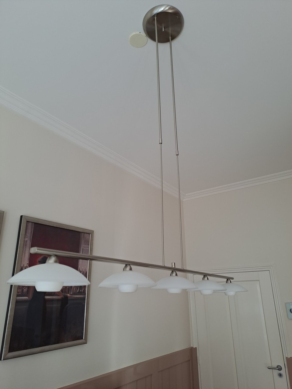 RVS hanglamp